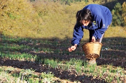 8 Marzo 2016, Confcooperative Abruzzo sarà presente all'evento previsto al Senato