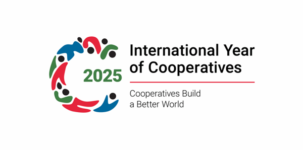 2025 Anno Internazionale delle Cooperative