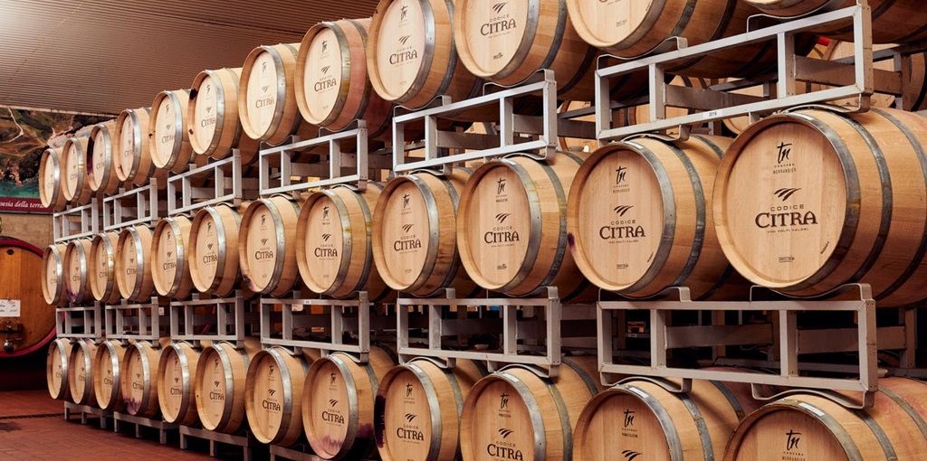 La voce delle nostre cooperative: intervista con Citra Vini