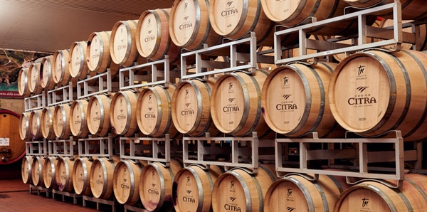 La voce delle nostre cooperative: intervista con Citra Vini