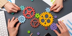 Le parole della cooperazione: CONTINUITÀ
