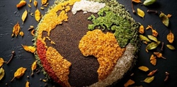 Dal campo alla tavola: che cosa c’entra la cooperazione?